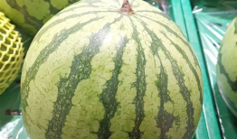 吃瓜网最快,娱乐圈最新热点事件深度剖析